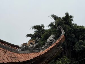 IMG_7432