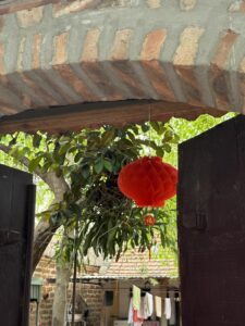 IMG_7527